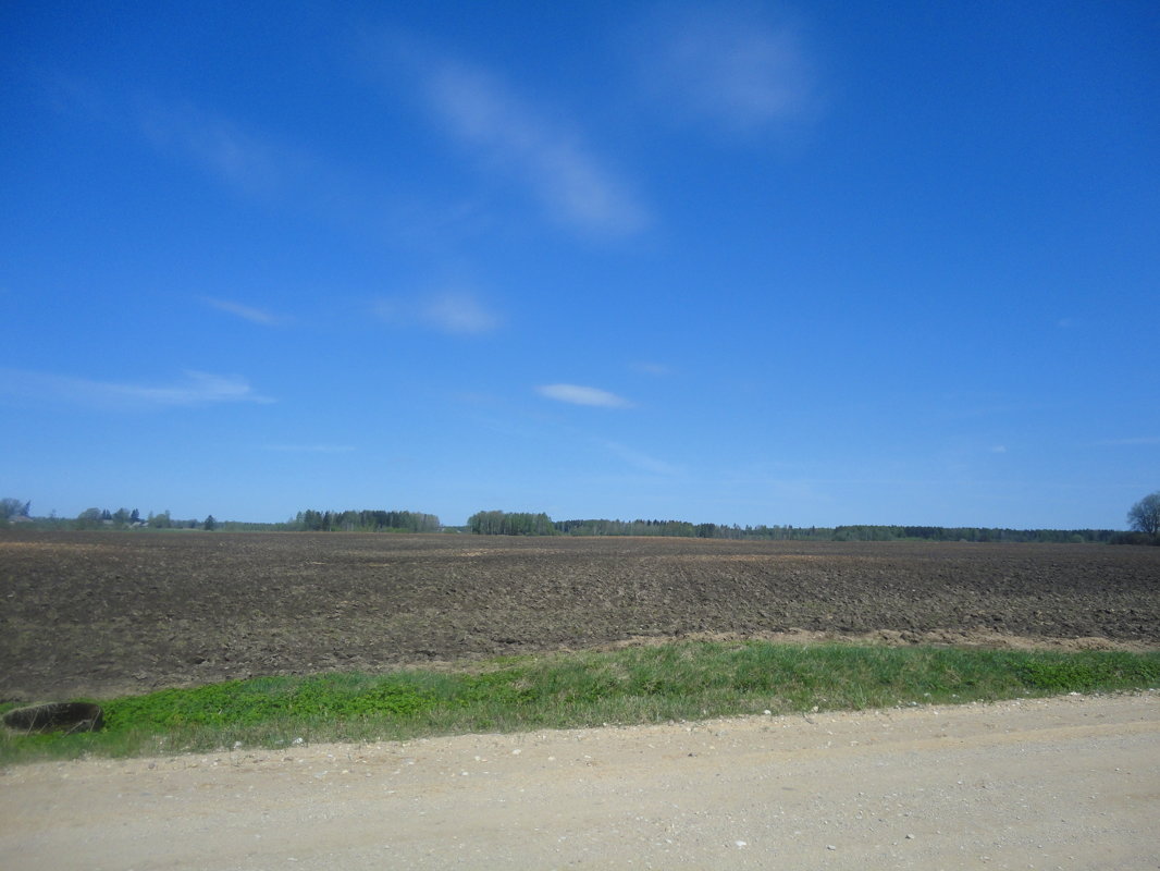 For sale more than 10 000 ha of arable land located in Latvia, Europe!
