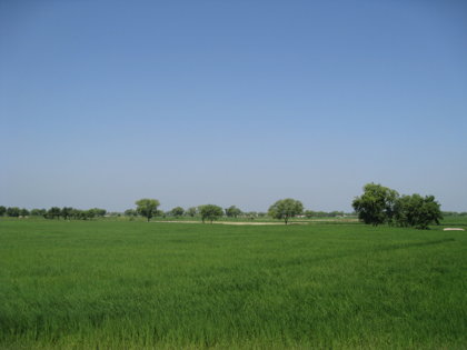 Agricultural land, farms